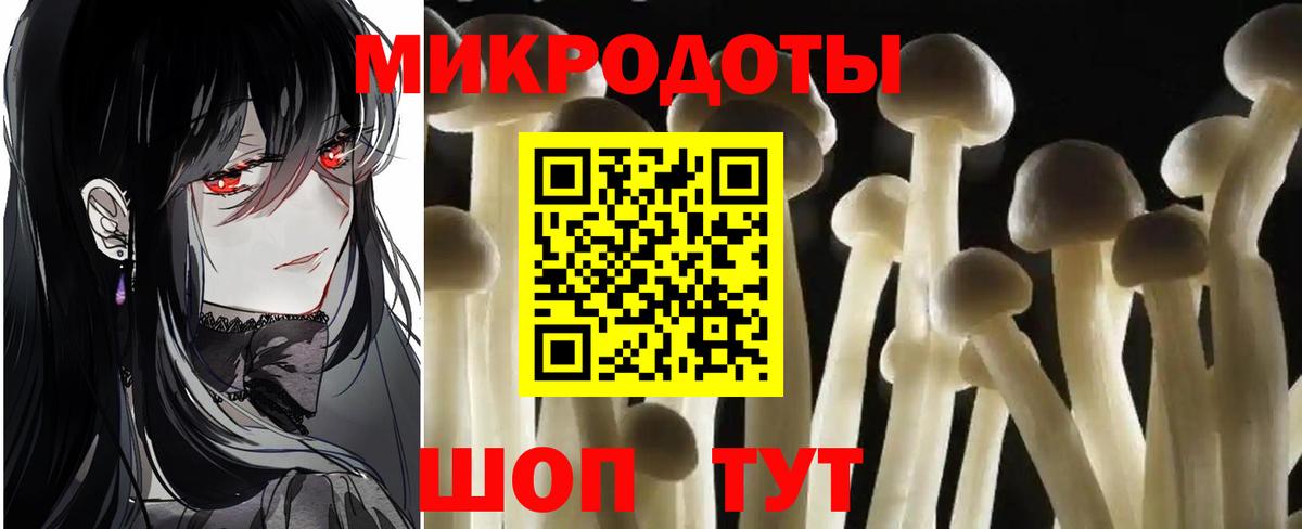 Псилоцибиновые грибы Psilocybe Краснокамск