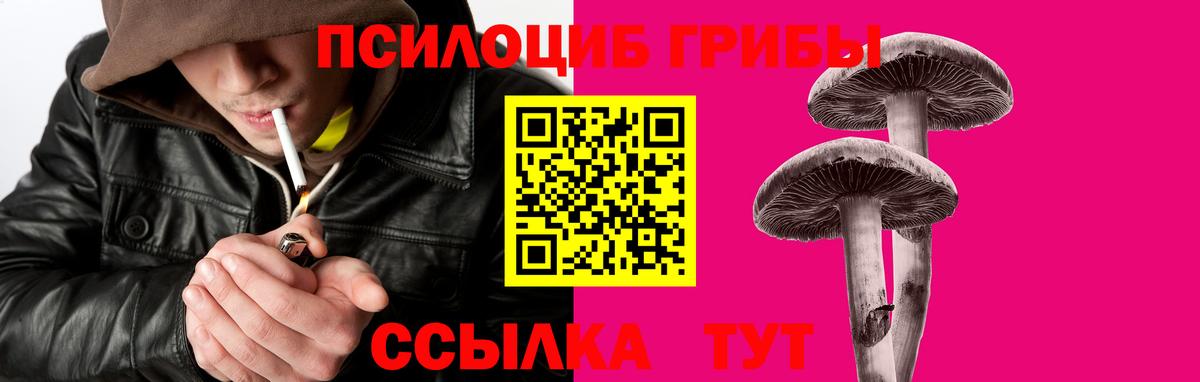 Псилоцибиновые грибы мицелий  Вход с VPN  где купить наркоту  Краснокамск 